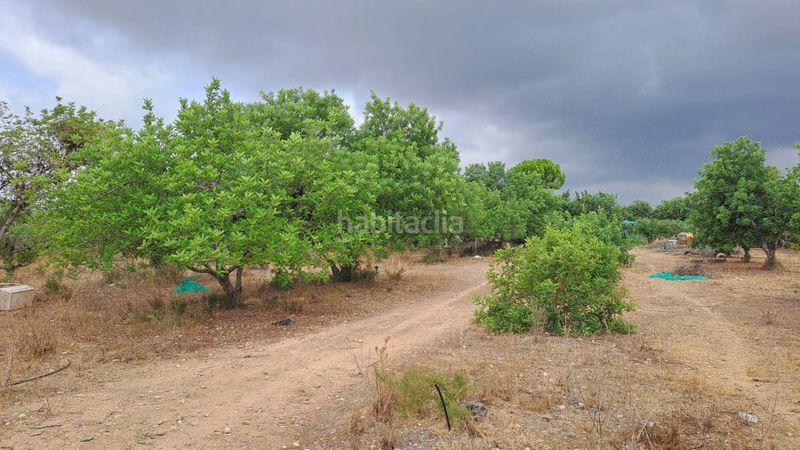 Foto d4362177-8e17-4477-8b18-660d24976a89. Masia a Vila-seca poble Vila-seca