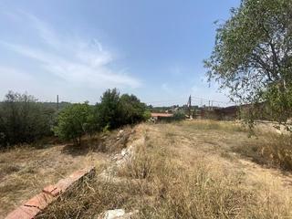 Finca rstica  Carrer dal. Terreno con cobertizo y frutales