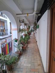 Duplex  Calle san luis. Exclusivo dúplex reformado en el corazón de sevilla