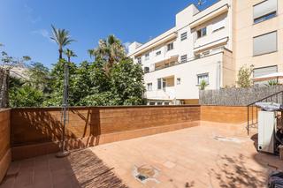 Planta baixa a El Terreno. Especial y espaciosa planta baja con terrazas en el terreno