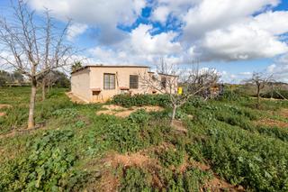 Bauernhof in Diseminado es palmer 685. Finca rústica en venta - un refugio natural en mallorca
