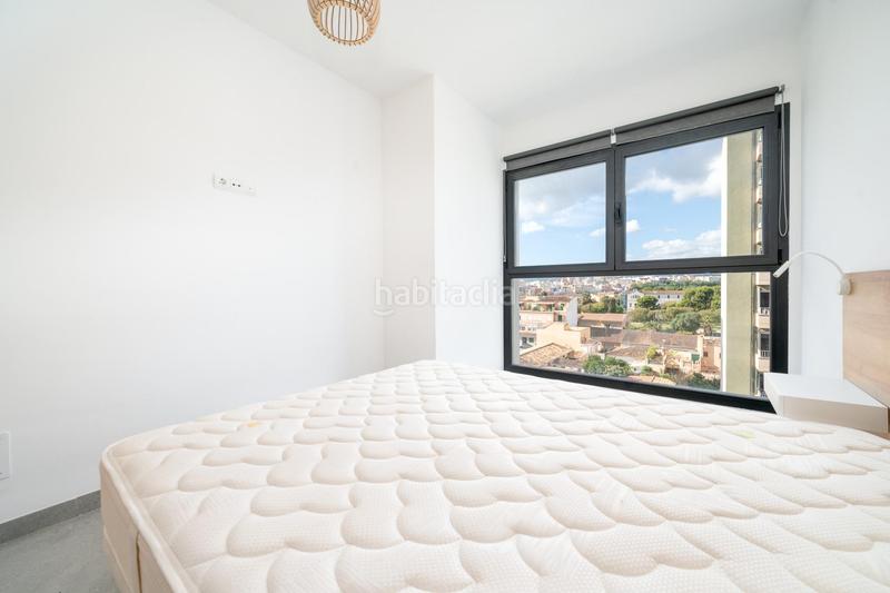 Foto 78141ed6-6472-4334-977a-dbde27f73153. Affitto edificio in Es Camp Redó Palma de Mallorca