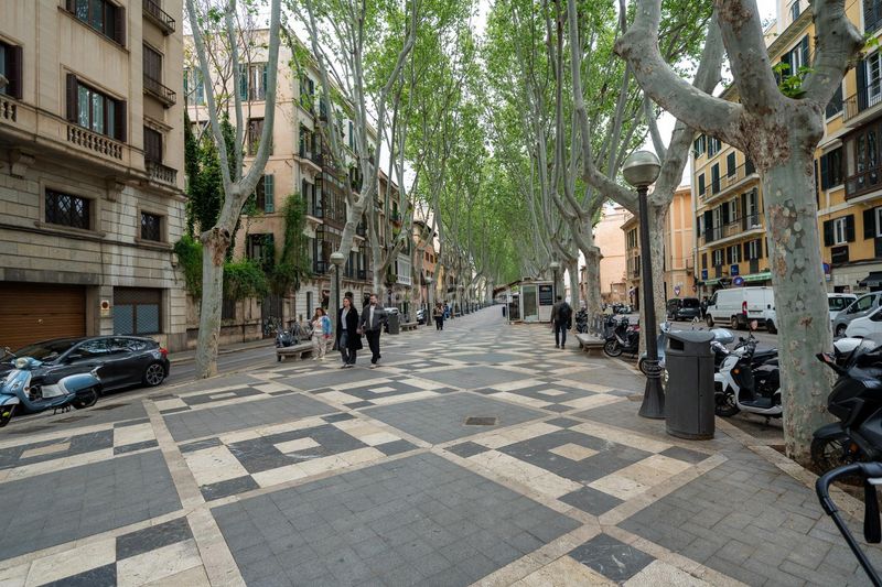 Foto 31ee2f51-e603-46c9-bc9e-9a204b38297d. Pis amb calefacció aparcament a La Missió Palma de Mallorca