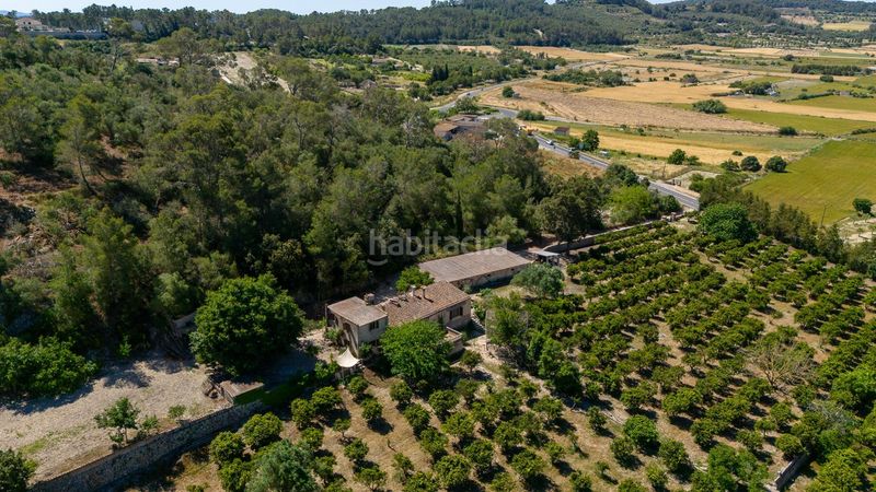 Foto 4df4a193-1f42-4fff-9114-552314397a8b. Masia amb xemeneia aparcament piscina a Sant Joan