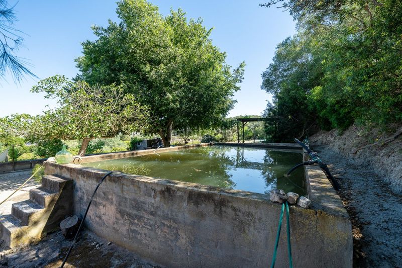 Foto 5c255f7f-b36a-4d1b-9140-5421b41fedc5. Masia amb xemeneia aparcament piscina a Sant Joan