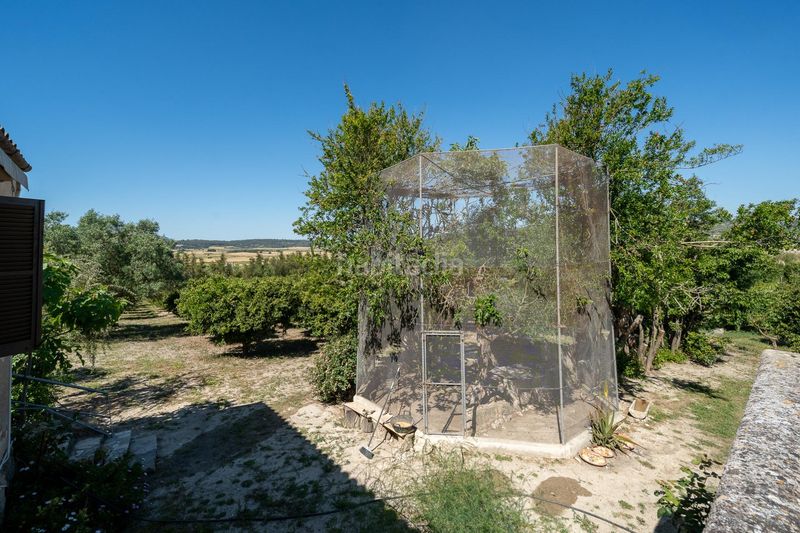 Foto abd077f5-f77c-4250-a10d-26b8e5bfe8fb. Masia amb xemeneia aparcament piscina a Sant Joan