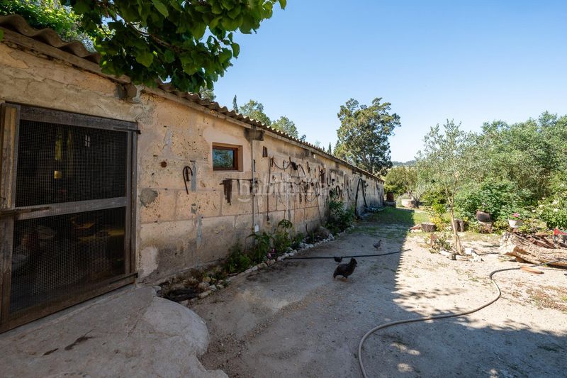Foto f782cda1-dcb7-4c80-b4a2-27779c9654f7. Masia amb xemeneia aparcament piscina a Sant Joan