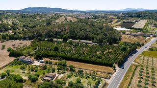Masia  Diseminado diseminados var. ?? finca r�stica con vistas panor�micas y naranjos en producci�n