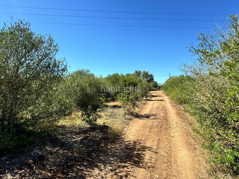 Foto 13dc1a7d-6511-48fa-a0ac-2b0e16a28921. Finca rústica a n/a a Algaida