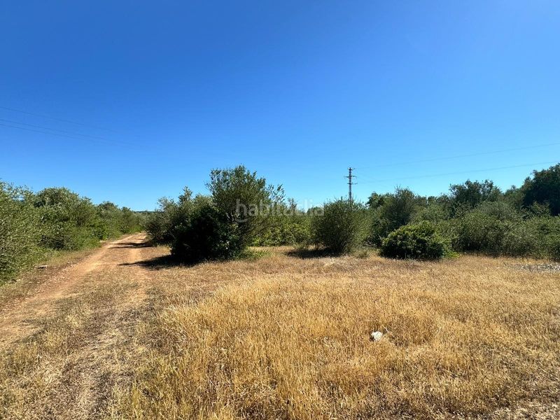 Foto 58ad18c8-76e0-4bdd-b5dd-979e164e844d. Finca rústica a n/a a Algaida