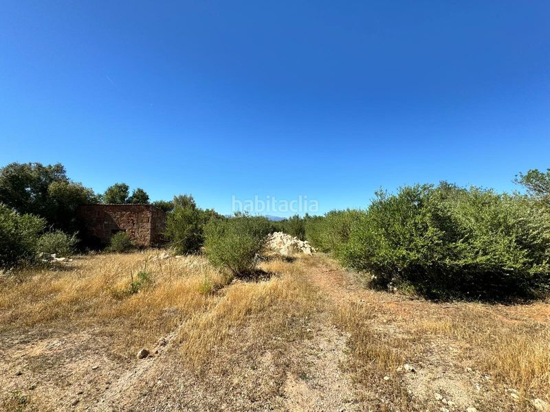 Foto 6641d4d3-5c66-4306-9143-d802d9940209. Finca rústica a n/a a Algaida
