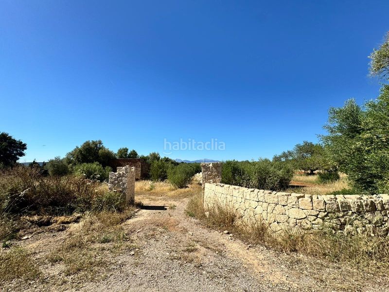 Foto 6b0a26d1-589b-4751-9728-daa5d37fc633. Finca rústica a n/a a Algaida