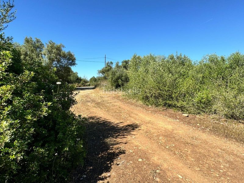 Foto 7e7162e3-1b1c-4286-af05-c3359362b75b. Finca rústica a n/a a Algaida