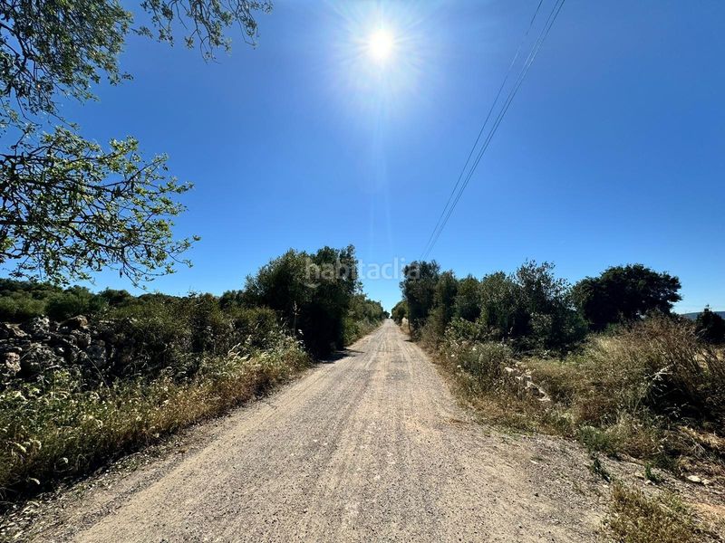 Foto a0e7c321-cd87-4005-92b3-08835f1b6b66. Finca rústica a n/a a Algaida