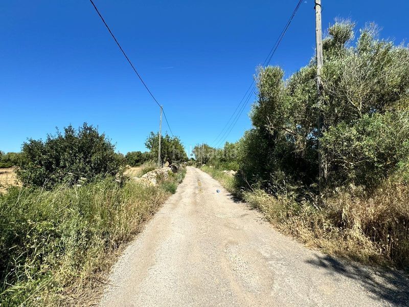 Foto bb87fef5-510a-4a02-ae32-273876e18847. Finca rústica a n/a a Algaida