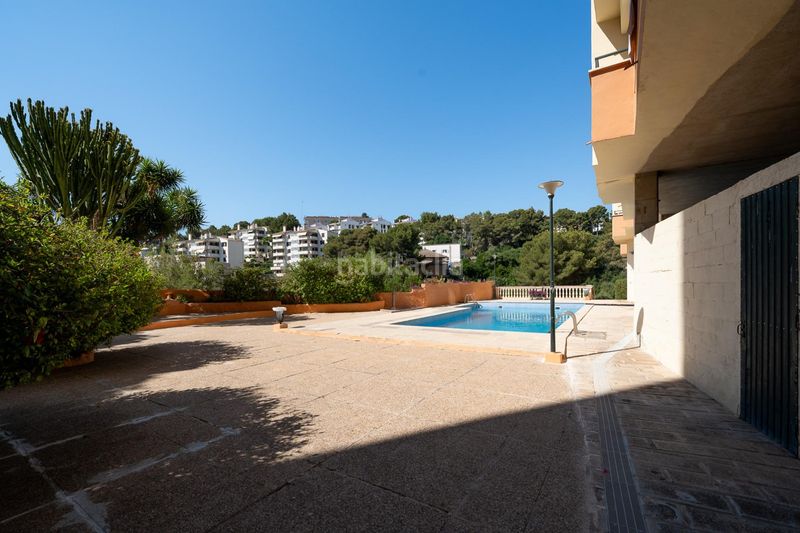Foto 5260f7cb-12fe-46bf-a4be-e4341f3bfc30. Pis amb piscina a El Terreno Palma de Mallorca