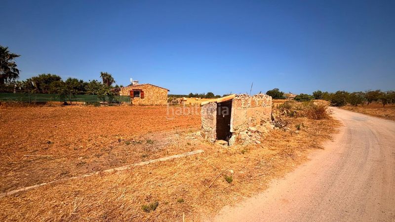 Foto 41e8b6ae-9966-486f-9a3a-19b56475eca7. Finca rústica a Muro