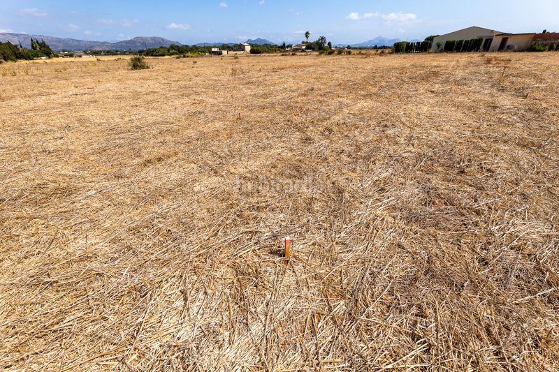 Foto 72587d53-b200-46e4-b7f5-a300ae082d1d. Finca rústica a n/a a Muro
