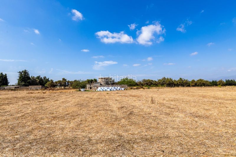 Foto d2a4c179-c765-4370-b298-5d82bbe9f355. Finca rústica a n/a a Muro