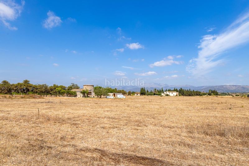 Foto edfb3daa-b701-44ee-a765-36147f258331. Finca rústica a n/a a Muro