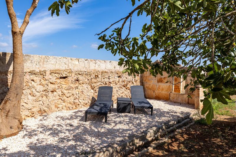 Foto ff8eb033-dcdd-4079-ba05-983250078549. Finca rústica a n/a a Muro