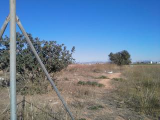 Finca rstica en Miranda. Finca de 3351m2 a 5 minutos de miranda