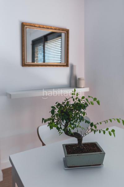 Foto f764a447-3a8a-4d3d-ba08-be2ec43d0e0e. Pis a Mestalla Valencia