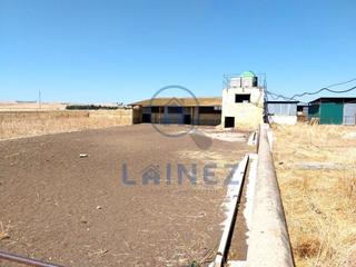 Terreny residencial a Fuente Obejuna. Finca  cebadero de cochino