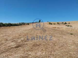 Terreny residencial a Fuente Obejuna