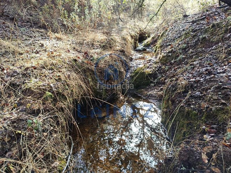 Foto 0a9050b2-7ad9-4736-a03a-f1a9cb5d7491. Terreno residencial terreno en venta en Espiel