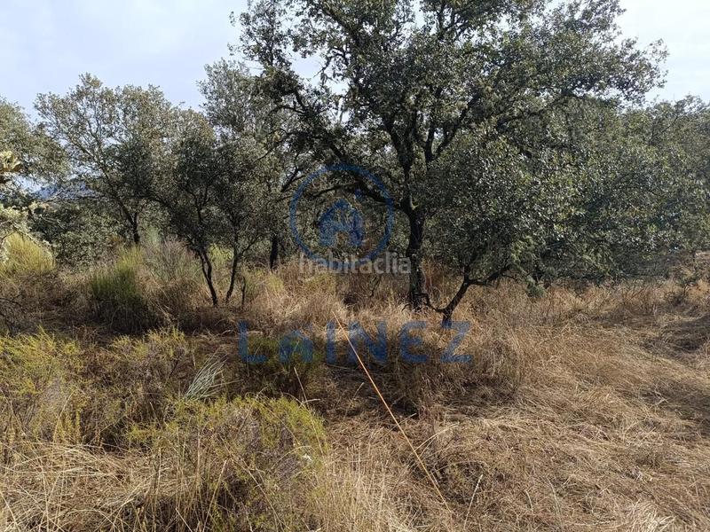 Foto 3047e56e-5ca0-4718-b6ae-1b67de2e27b9. Terreno residencial terreno en venta en Espiel