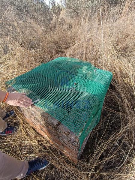 Foto 545e340a-770b-402e-a13c-a098766c98cd. Terreno residencial terreno en venta en Espiel