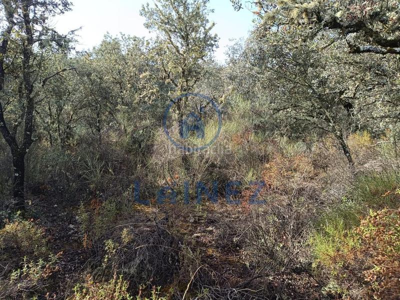 Foto 5c4f601c-2b59-4a57-9f0c-5663cfe1fe2b. Terreno residencial terreno en venta en Espiel