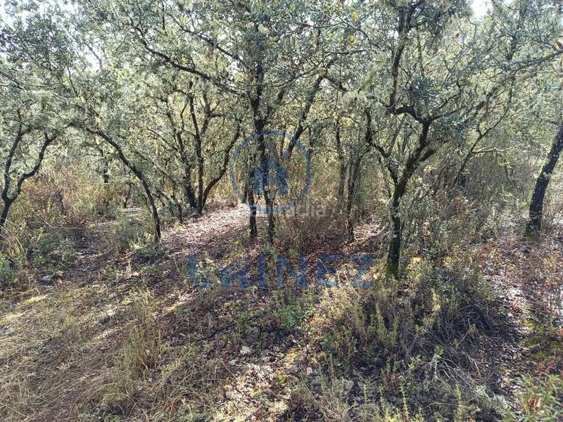 Foto 8de9327f-b0dc-43f3-ac10-4ce9fb4f3303. Terreno residencial terreno en venta en Espiel