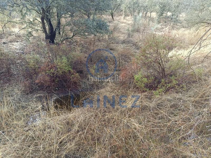 Foto 8e6e3bfa-a82d-4b5e-86a2-5545e036cf6a. Terreno residencial terreno en venta en Espiel