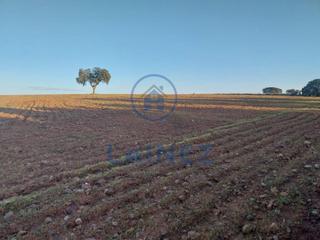 Finca rústica a Fuente Obejuna