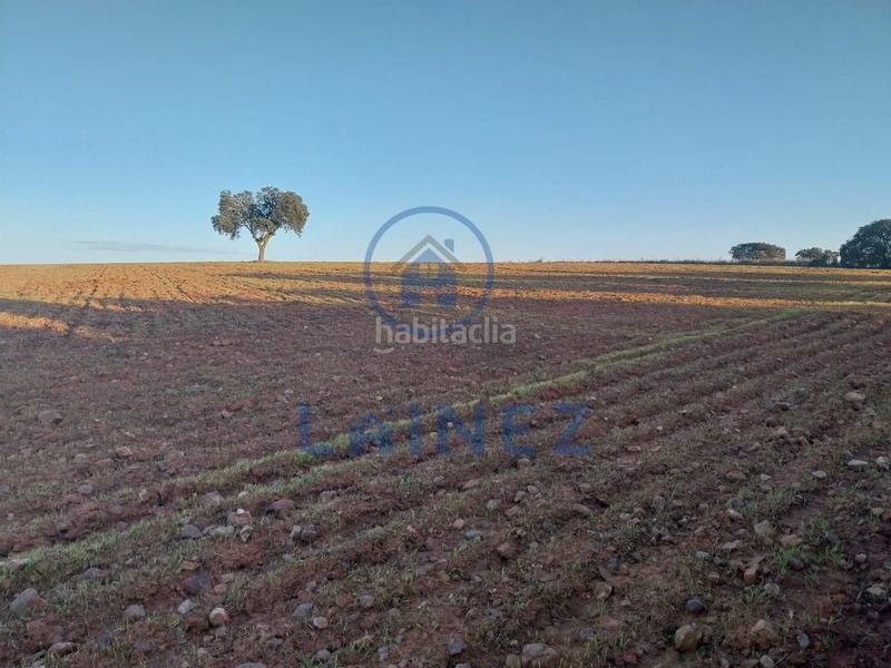 Foto 171e4cdd-6d7b-486d-aa00-45503b29069d. Finca rústica en Fuente Obejuna