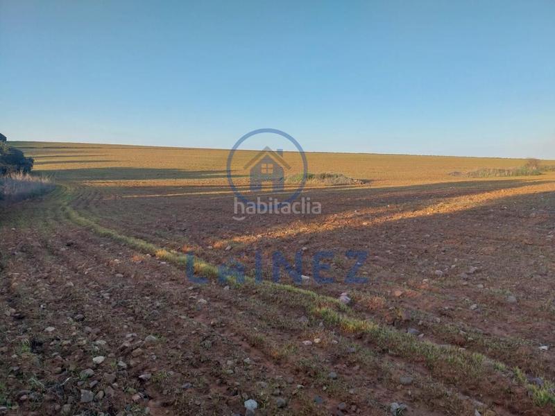 Foto 5da904eb-48ee-4a9c-825b-62fe51e406bb. Finca rústica en Fuente Obejuna