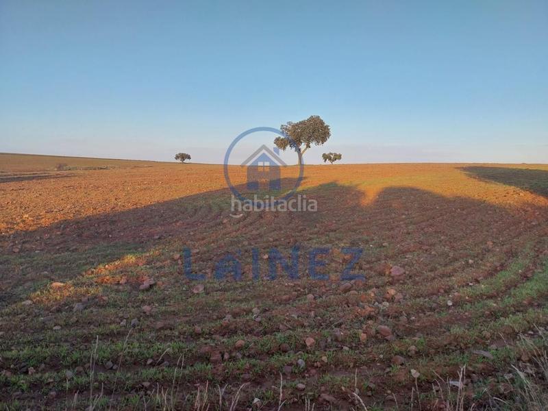 Foto 87cf7c98-9d19-430a-9b69-1a013d6c67eb. Finca rústica en Fuente Obejuna