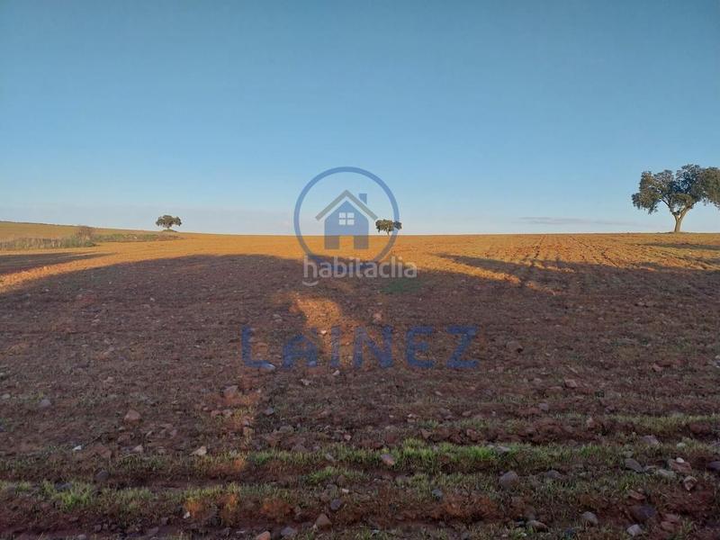 Foto a05fdd36-d88f-4cd9-8320-ff1a6167f97a. Finca rústica en Fuente Obejuna
