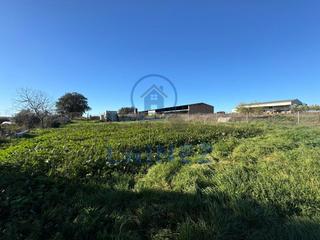 Rural plot in Granjuela (La)