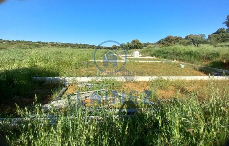 Foto 6cc4ace9-7228-494a-882a-6a82f868ab49. Propriété dans Valsequillo