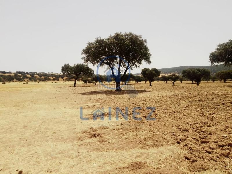 Foto 498e8406-4db9-4f73-8c63-2c41b7f1cb34. Terrain résidentiel dans Valsequillo