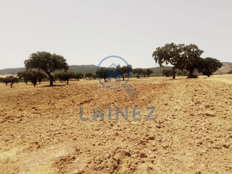 Foto 69d80836-3a5f-4c0c-bbd0-5aa2427b445d. Terrain résidentiel dans Valsequillo