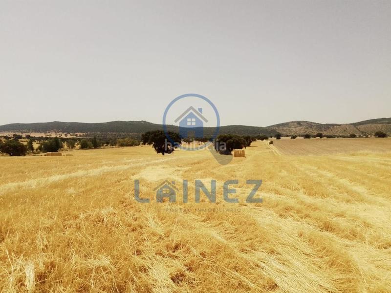 Foto 727bea95-aa14-4c53-9b03-7856ab47945d. Terrain résidentiel dans Valsequillo