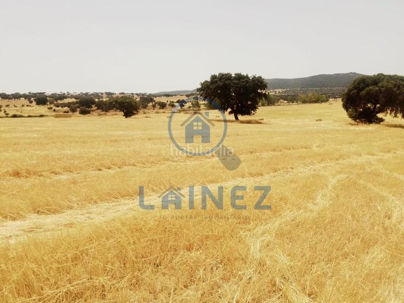 Foto ae12f4e8-45f2-4788-97e6-9d08134e8e3c. Terrain résidentiel dans Valsequillo