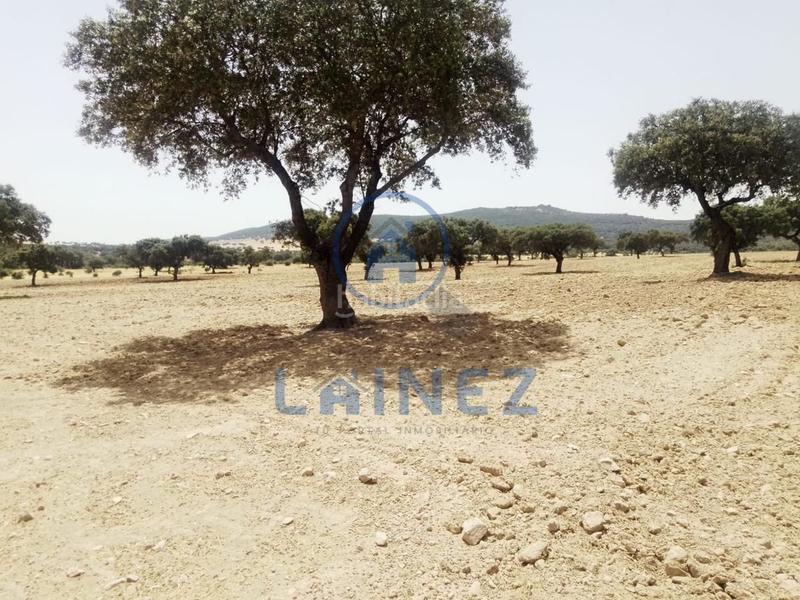 Foto c55d7f47-08c1-4a62-bbb7-f38761a7adc9. Terrain résidentiel dans Valsequillo