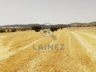 Terrain résidentiel à Valsequillo. Finca dehesa de labor en venta muy bien situada en el municipio