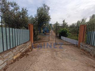 Terreny residencial a Granjuela (La). Parcela en venta en la granjuela