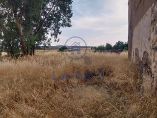 Nau industrial a Granjuela (La)